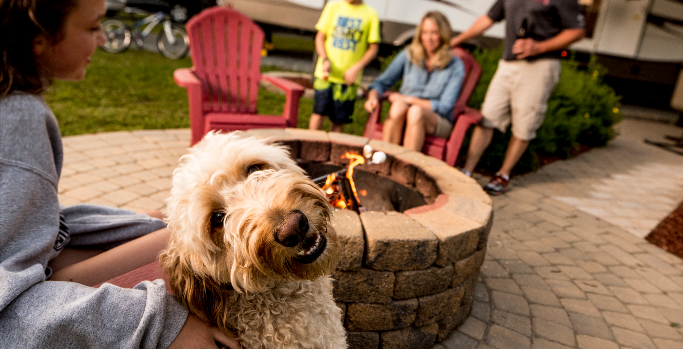 A dog looking at the camera with a family roasting marshmallows.