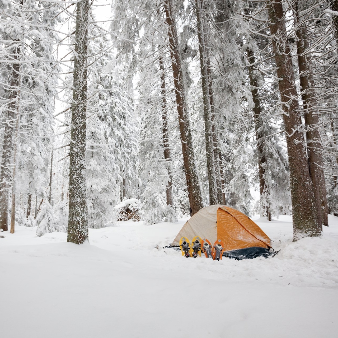 winter-tent 2.jpg